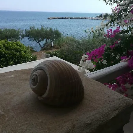 Sea Wave House